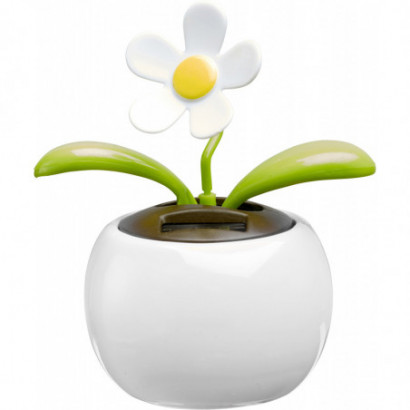  Flower pot 