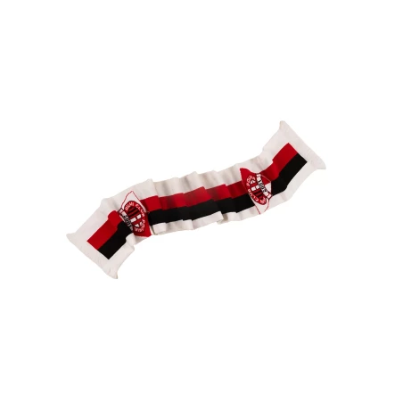 Promotional scarf with print Elastic 6028
